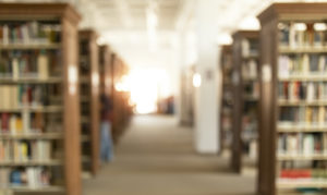 Diversity and Exclusion Within Legal Education